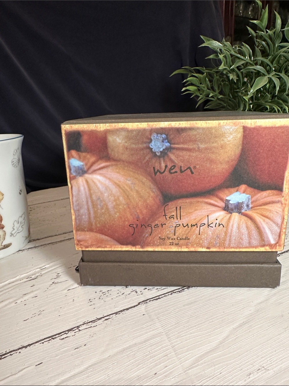 Wen limited edition Pumpkin Ginger Candle 20oz